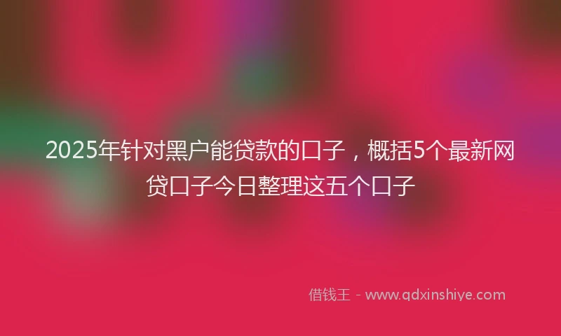 2025年针对黑户能贷款的口子，概括5个最新网贷口子今日整理这五个口子
