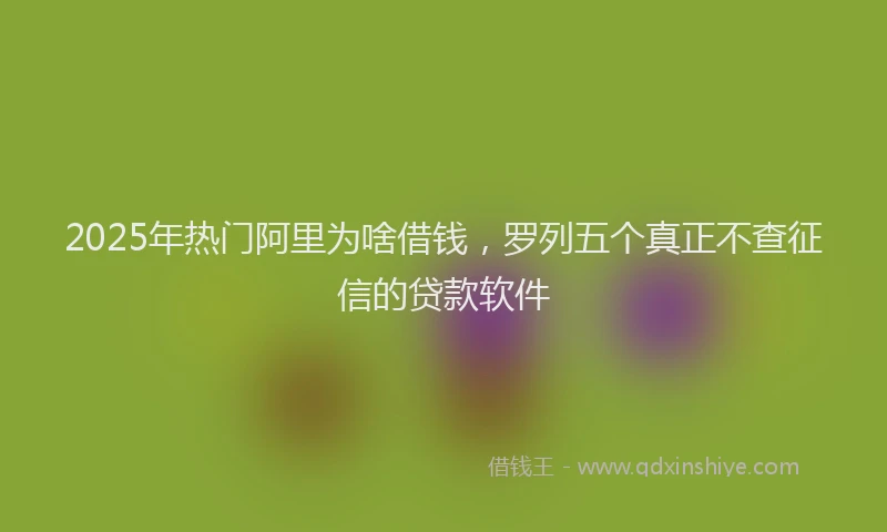 2025年热门阿里为啥借钱,罗列五个真正不查征信的贷款软件