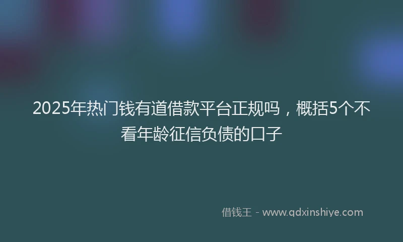 2025年热门钱有道借款平台正规吗，概括5个不看年龄征信负债的口子