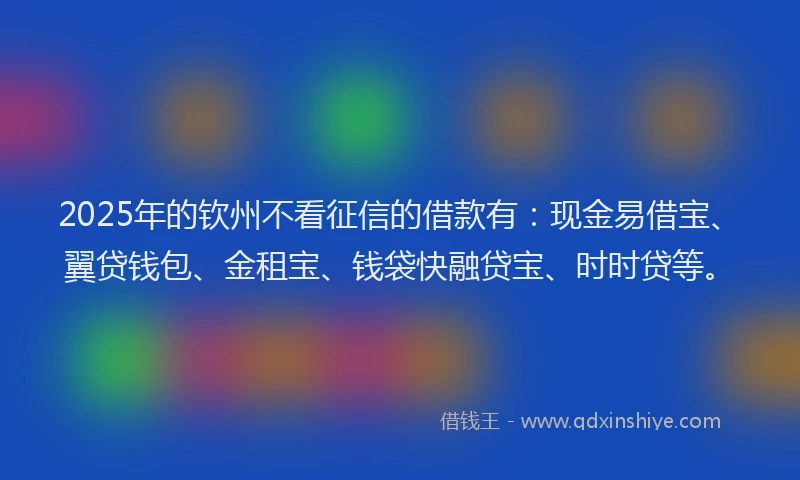 2025年的钦州不看征信的借款有：现金易借宝、翼贷钱包、金租宝、钱袋快融贷宝、时时贷等。