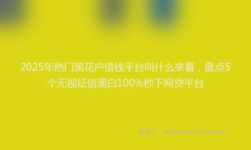 2025年热门黑花户借钱平台叫什么来着，盘点5个无视征信黑白100%秒下网贷平台