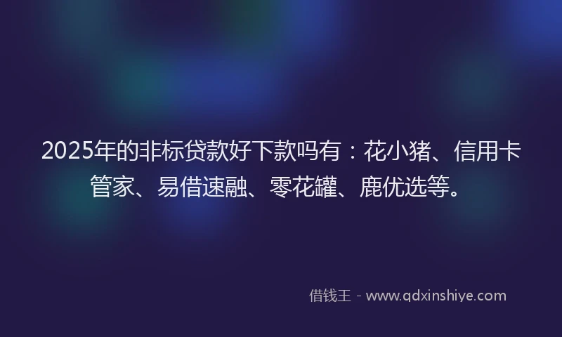 2025年的非标贷款好下款吗有:花小猪、信用卡管家、易借速融、零花罐、鹿优选等。