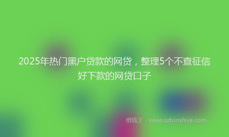 2025年热门黑户贷款的网贷，整理5个不查征信好下款的网贷口子