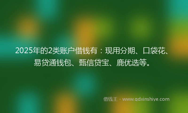 2025年的2类账户借钱有：现用分期、口袋花、易贷通钱包、甄信贷宝、鹿优选等。