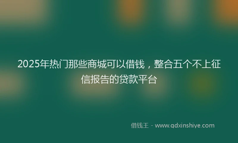 2025年热门那些商城可以借钱，整合五个不上征信报告的贷款平台