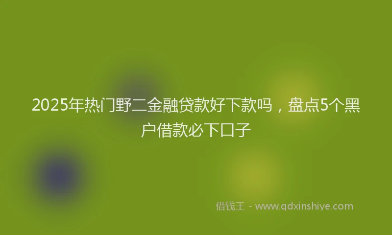 2025年热门野二金融贷款好下款吗，盘点5个黑户借款必下口子