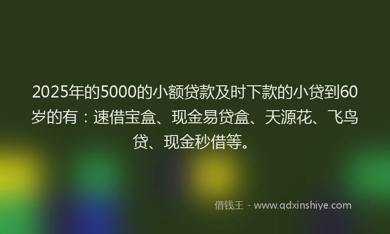 2025年的5000的小额贷款及时下款的小贷到60岁的有：速借宝盒、现金易贷盒、天源花、飞鸟贷、现金秒借等。