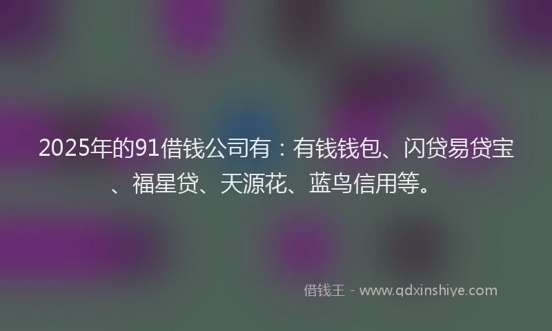 2025年的91借钱公司有：有钱钱包、闪贷易贷宝、福星贷、天源花、蓝鸟信用等。