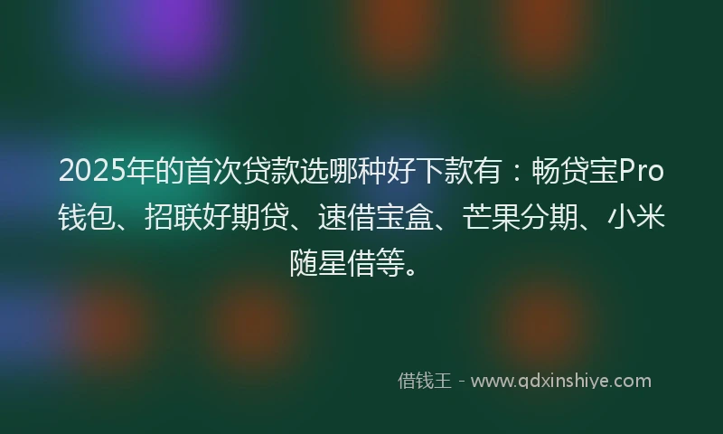 2025年的首次贷款选哪种好下款有:畅贷宝Pro钱包、招联好期贷、速借宝盒、芒果分期、小米随星借等。
