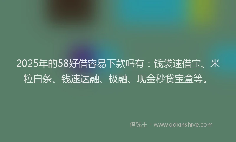 2025年的58好借容易下款吗有：钱袋速借宝、米粒白条、钱速达融、极融、现金秒贷宝盒等。