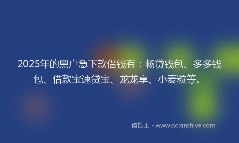 2025年的黑户急下款借钱有：畅贷钱包、多多钱包、借款宝速贷宝、龙龙享、小麦粒等。