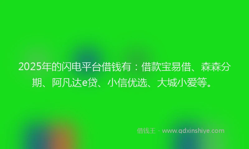 2025年的闪电平台借钱有:借款宝易借、森森分期、阿凡达e贷、小信优选、大城小爱等。