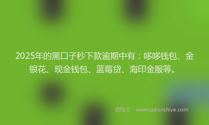2025年的黑口子秒下款逾期中有:哆哆钱包、金银花、现金钱包、蓝莓贷、海印金服等。