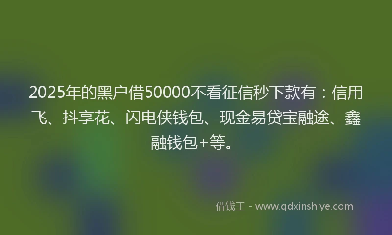 2025年的黑户借50000不看征信秒下款有：信用飞、抖享花、闪电侠钱包、现金易贷宝融途、鑫融钱包+等。