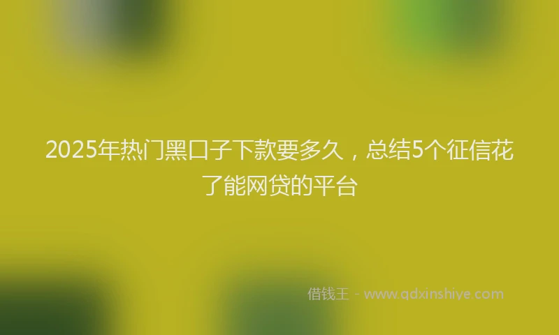 2025年热门黑口子下款要多久，总结5个征信花了能网贷的平台