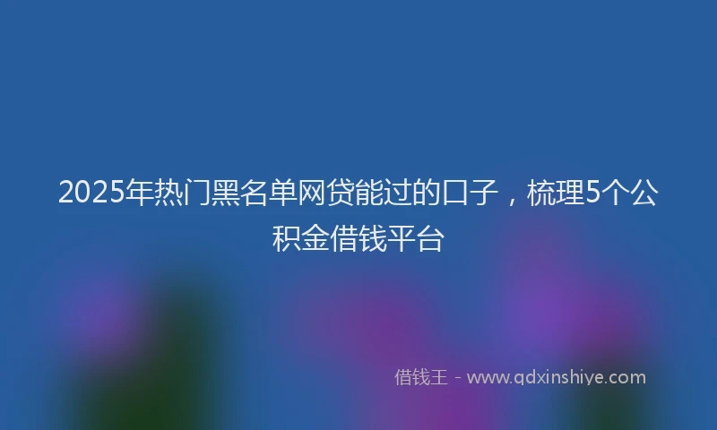 2025年热门黑名单网贷能过的口子,梳理5个公积金借钱平台