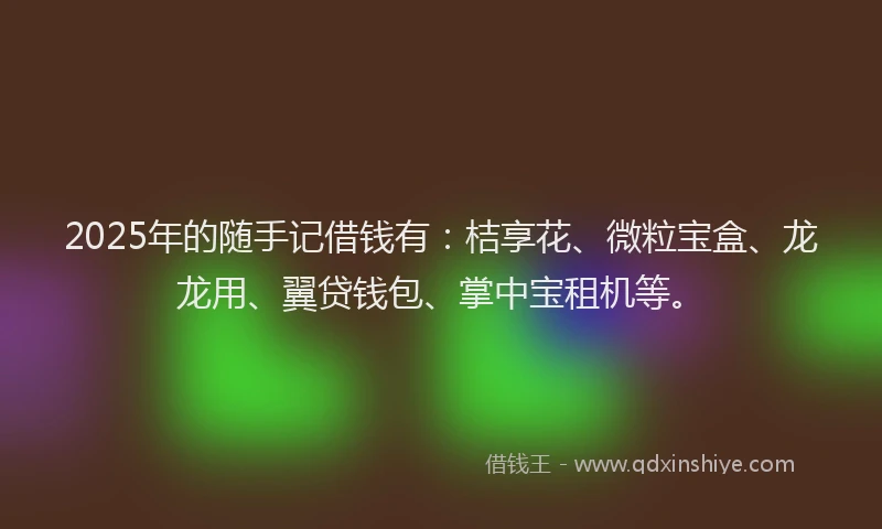 2025年的随手记借钱有：桔享花、微粒宝盒、龙龙用、翼贷钱包、掌中宝租机等。