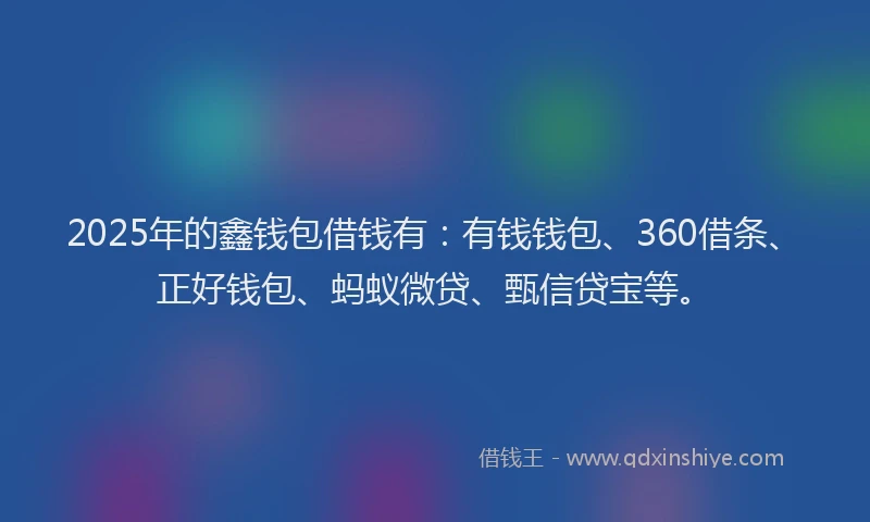 2025年的鑫钱包借钱有：有钱钱包、360借条、正好钱包、蚂蚁微贷、甄信贷宝等。