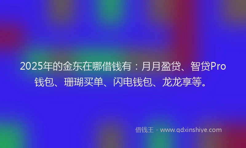 2025年的金东在哪借钱有：月月盈贷、智贷Pro钱包、珊瑚买单、闪电钱包、龙龙享等。