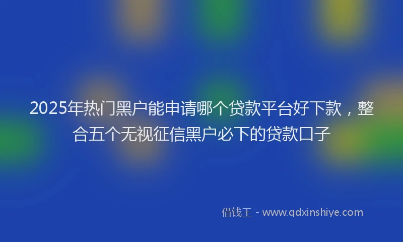 2025年热门黑户能申请哪个贷款平台好下款，整合五个无视征信黑户必下的贷款口子