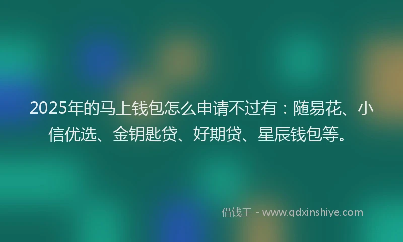 2025年的马上钱包怎么申请不过有：随易花、小信优选、金钥匙贷、好期贷、星辰钱包等。