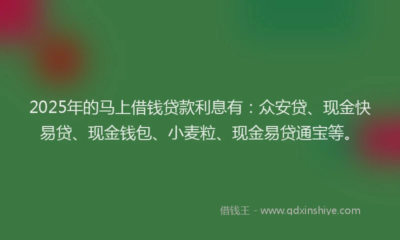 2025年的马上借钱贷款利息有：众安贷、现金快易贷、现金钱包、小麦粒、现金易贷通宝等。