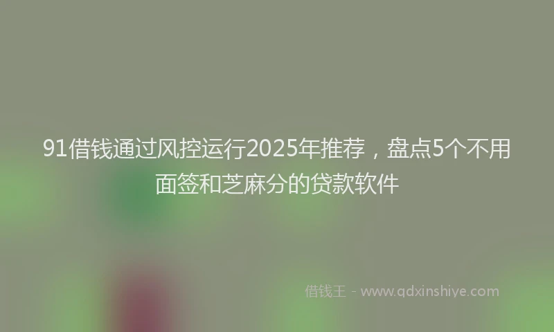 91借钱通过风控运行2025年推荐，盘点5个不用面签和芝麻分的贷款软件