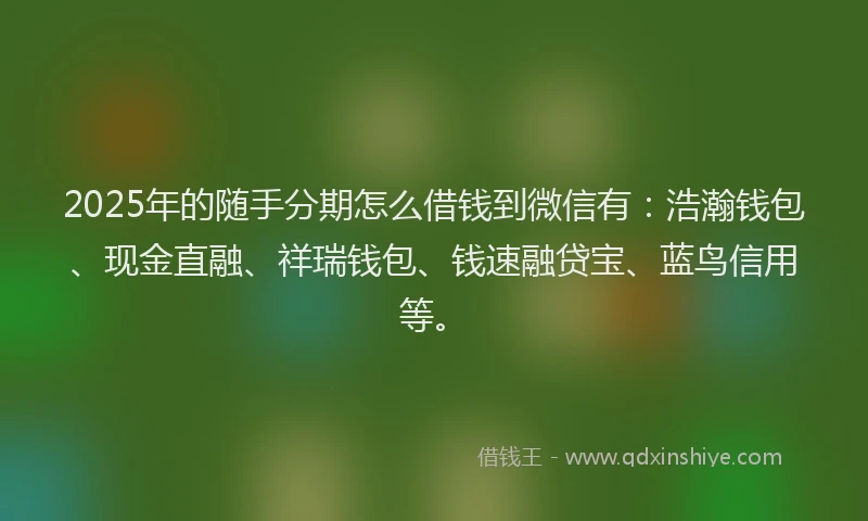2025年的随手分期怎么借钱到微信有：浩瀚钱包、现金直融、祥瑞钱包、钱速融贷宝、蓝鸟信用等。