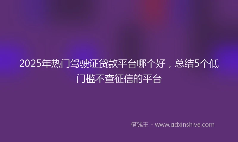 2025年热门驾驶证贷款平台哪个好，总结5个低门槛不查征信的平台