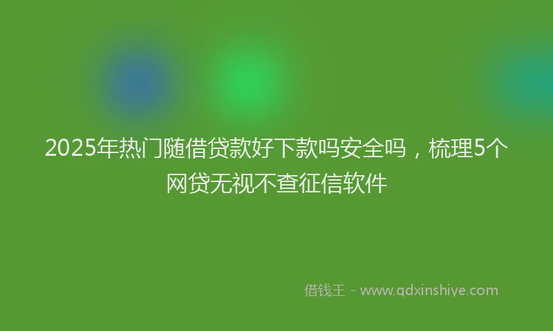 2025年热门随借贷款好下款吗安全吗，梳理5个网贷无视不查征信软件