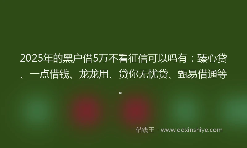 2025年的黑户借5万不看征信可以吗有：臻心贷、一点借钱、龙龙用、贷你无忧贷、甄易借通等。