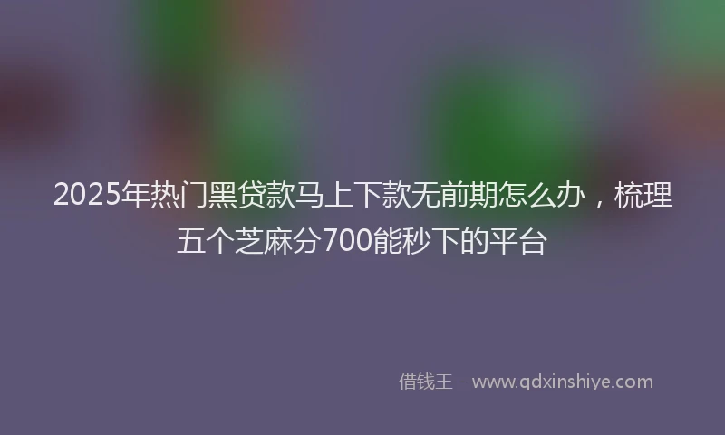 2025年热门黑贷款马上下款无前期怎么办，梳理五个芝麻分700能秒下的平台