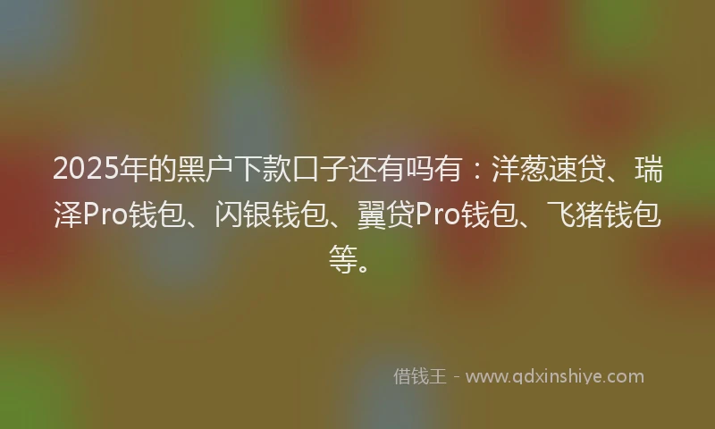 2025年的黑户下款口子还有吗有：洋葱速贷、瑞泽Pro钱包、闪银钱包、翼贷Pro钱包、飞猪钱包等。
