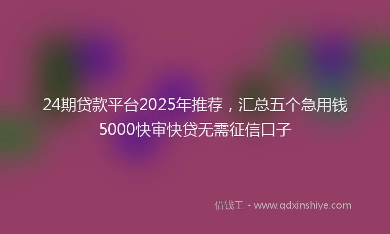 24期贷款平台2025年推荐，汇总五个急用钱5000快审快贷无需征信口子