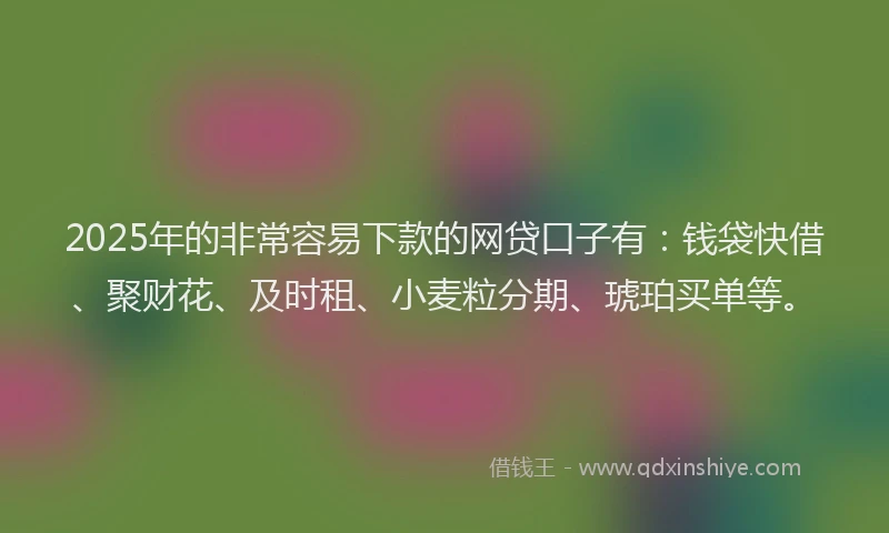 2025年的非常容易下款的网贷口子有：钱袋快借、聚财花、及时租、小麦粒分期、琥珀买单等。
