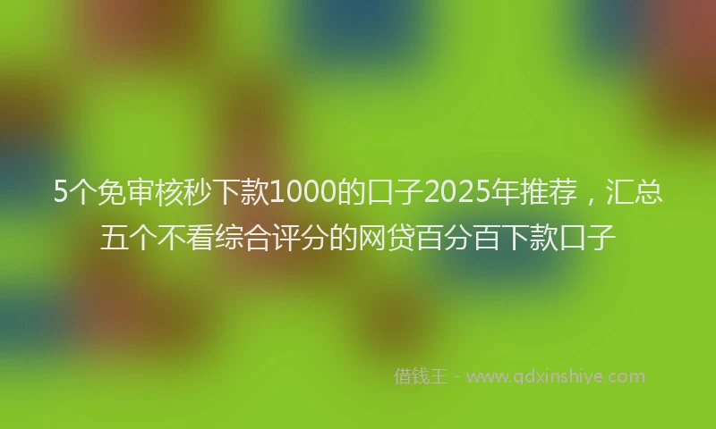 5个免审核秒下款1000的口子2025年推荐，汇总五个不看综合评分的网贷百分百下款口子