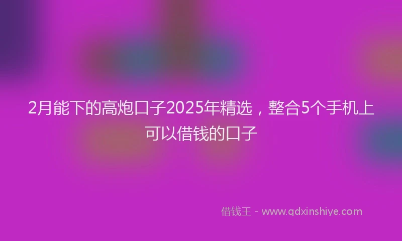 2月能下的高炮口子2025年精选，整合5个手机上可以借钱的口子