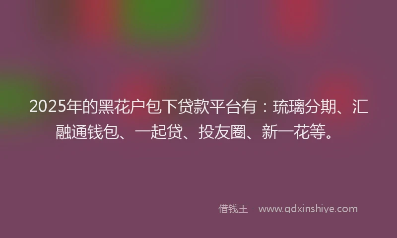 2025年的黑花户包下贷款平台有：琉璃分期、汇融通钱包、一起贷、投友圈、新一花等。
