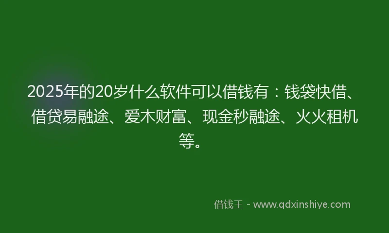 2025年的20岁什么软件可以借钱有：钱袋快借、借贷易融途、爱木财富、现金秒融途、火火租机等。