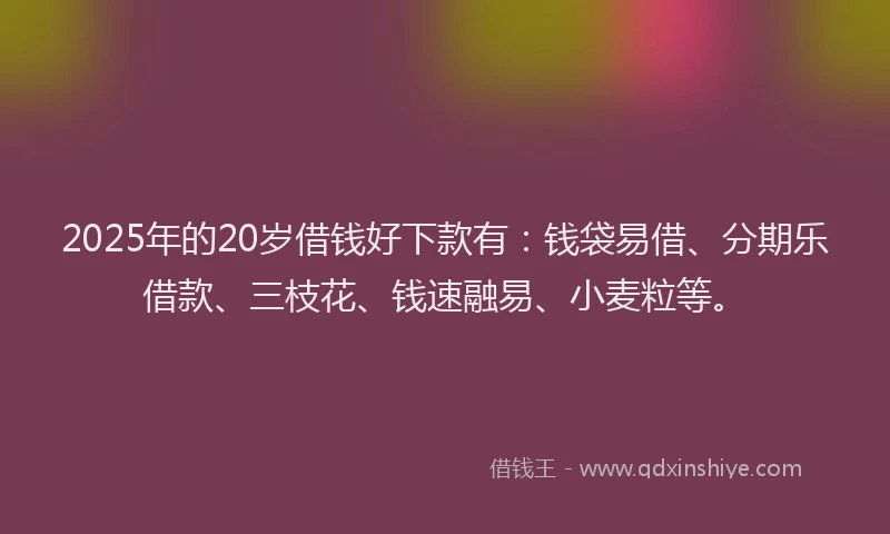 2025年的20岁借钱好下款有：钱袋易借、分期乐借款、三枝花、钱速融易、小麦粒等。