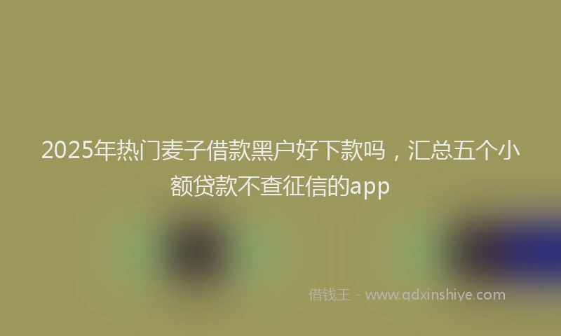 2025年热门麦子借款黑户好下款吗，汇总五个小额贷款不查征信的app
