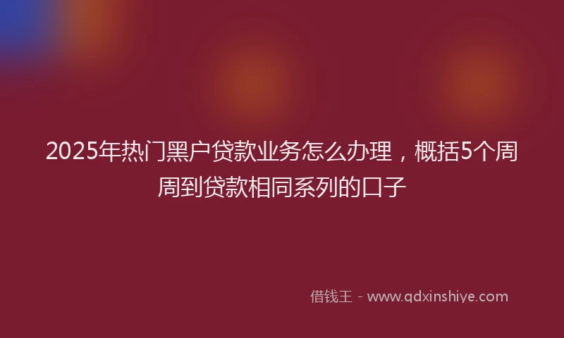 2025年热门黑户贷款业务怎么办理，概括5个周周到贷款相同系列的口子