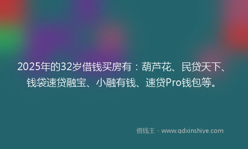 2025年的32岁借钱买房有：葫芦花、民贷天下、钱袋速贷融宝、小融有钱、速贷Pro钱包等。