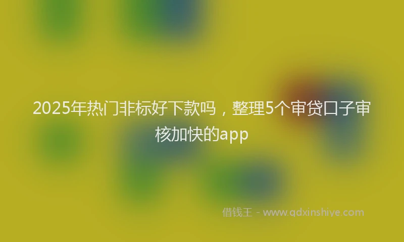 2025年热门非标好下款吗，整理5个审贷口子审核加快的app