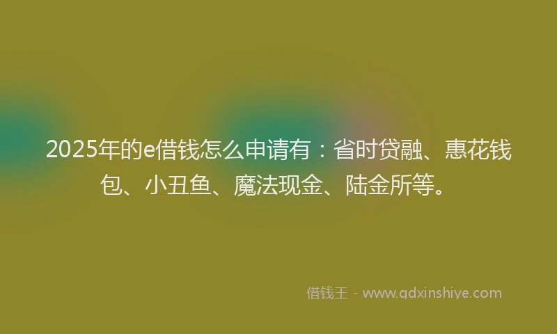 2025年的e借钱怎么申请有：省时贷融、惠花钱包、小丑鱼、魔法现金、陆金所等。