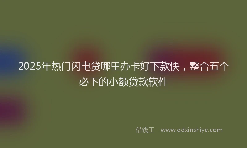 2025年热门闪电贷哪里办卡好下款快，整合五个必下的小额贷款软件