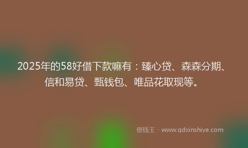 2025年的58好借下款嘛有：臻心贷、森森分期、信和易贷、甄钱包、唯品花取现等。