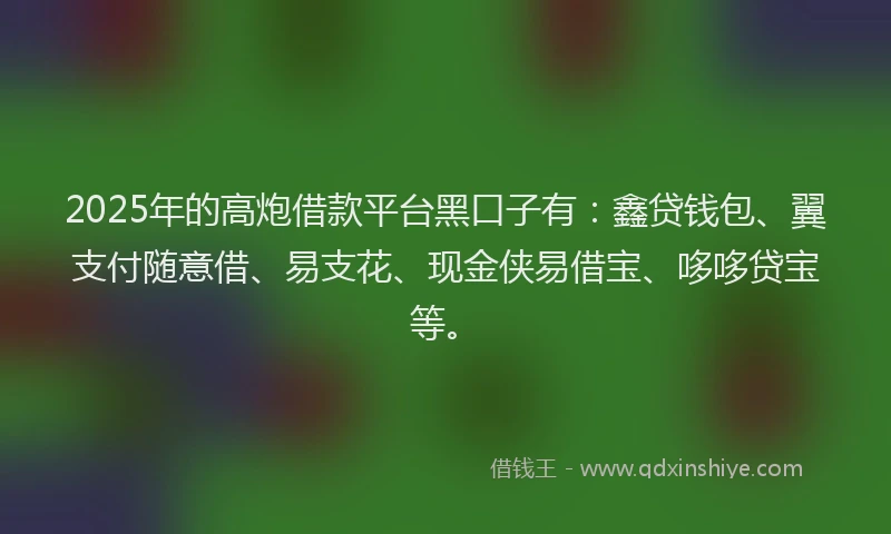 2025年的高炮借款平台黑口子有：鑫贷钱包、翼支付随意借、易支花、现金侠易借宝、哆哆贷宝等。