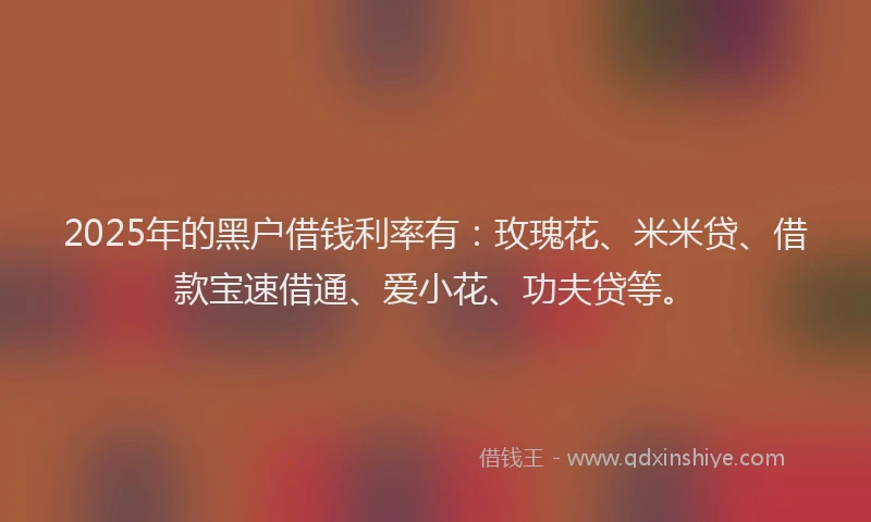 2025年的黑户借钱利率有：玫瑰花、米米贷、借款宝速借通、爱小花、功夫贷等。