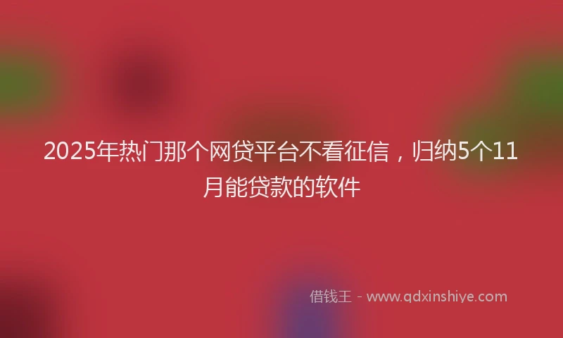 2025年热门那个网贷平台不看征信，归纳5个11月能贷款的软件